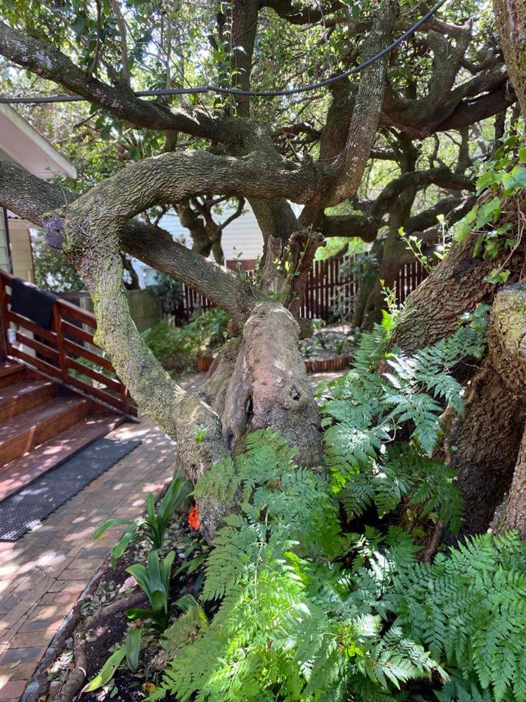 Melkboom Villa Franskraalstrand Kültér fotó